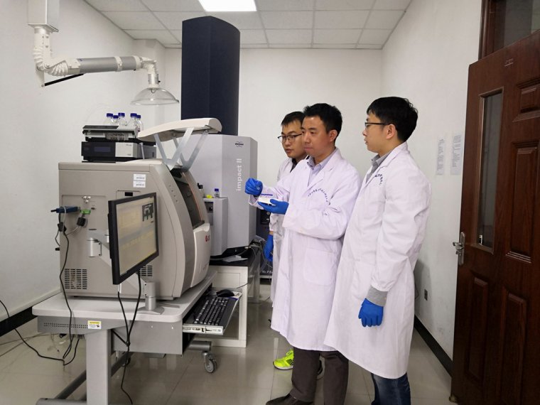 1716710292336585.jpg 464727c0889ce412be6d530237d6de4.jpg